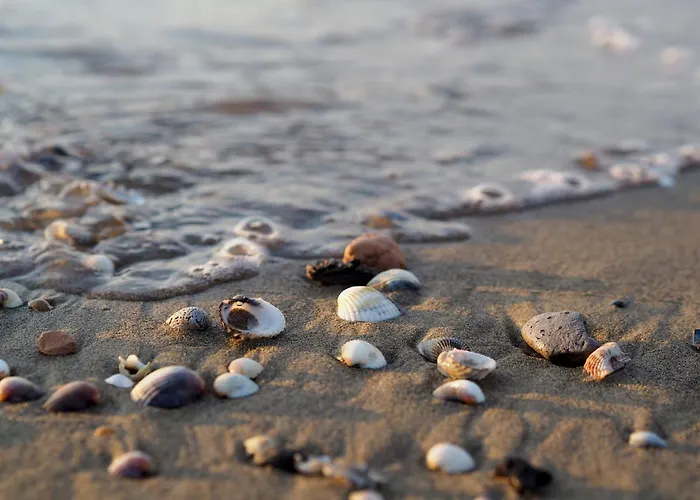 Charming Townhouse With A Shared Pool And Garden Lejlighed Bibione